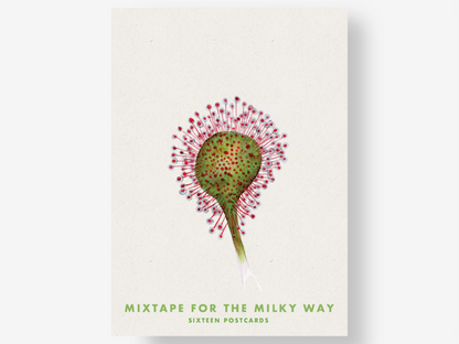 Mixtape for the Milky Way Postcard Set